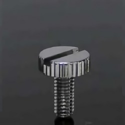 低頭コイン割ローレットビス
